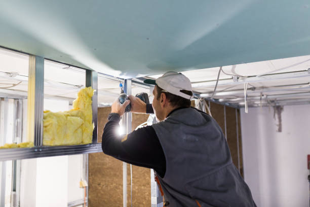 Professional Insulation Contractor in Rio Hondo, TX